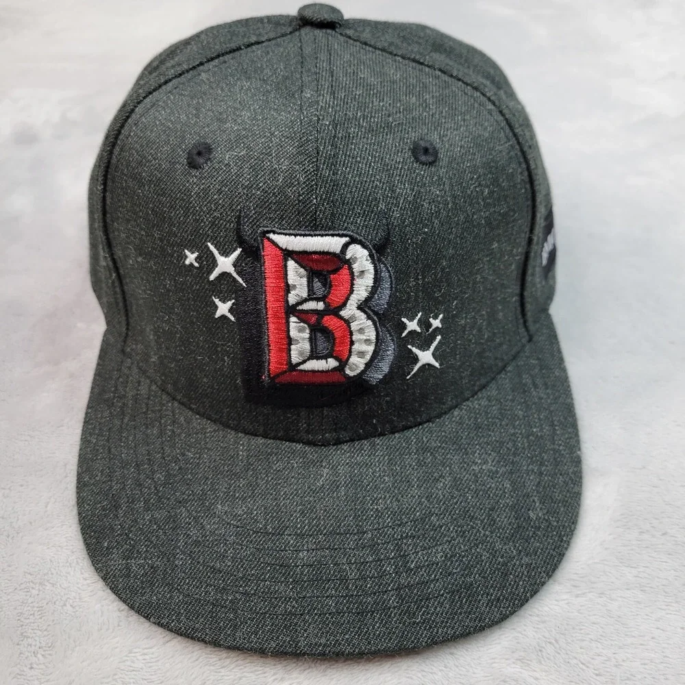 Chicago Bulls Hat Cap Mens Grey Charcoal Snapback Logo Artist Series Miss Merlot